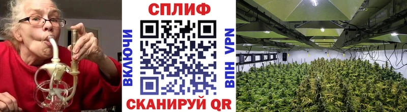 купить закладку  Пестово  МАРИХУАНА SATIVA & INDICA 